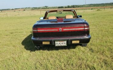 Chrysler-Other-1989-Burgundy-Tan-19