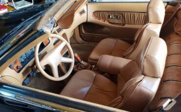 Chrysler-Other-1989-Burgundy-Tan-26