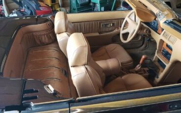 Chrysler-Other-1989-Burgundy-Tan-27