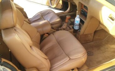 Chrysler-Other-1989-Burgundy-Tan-29