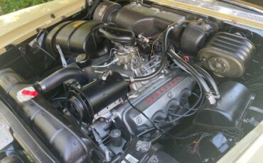 Chrysler-Windsor-1958-Bamboo-YellowErmine-Tan-17