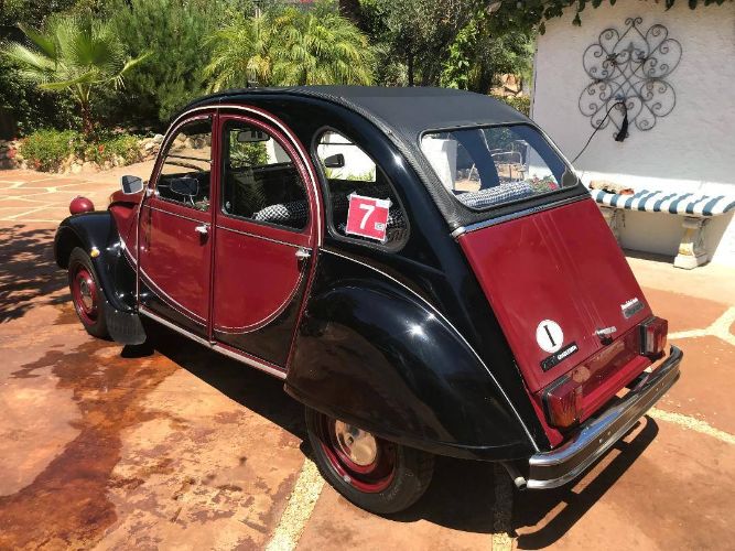 Citroen-Other-1981-Custom-8