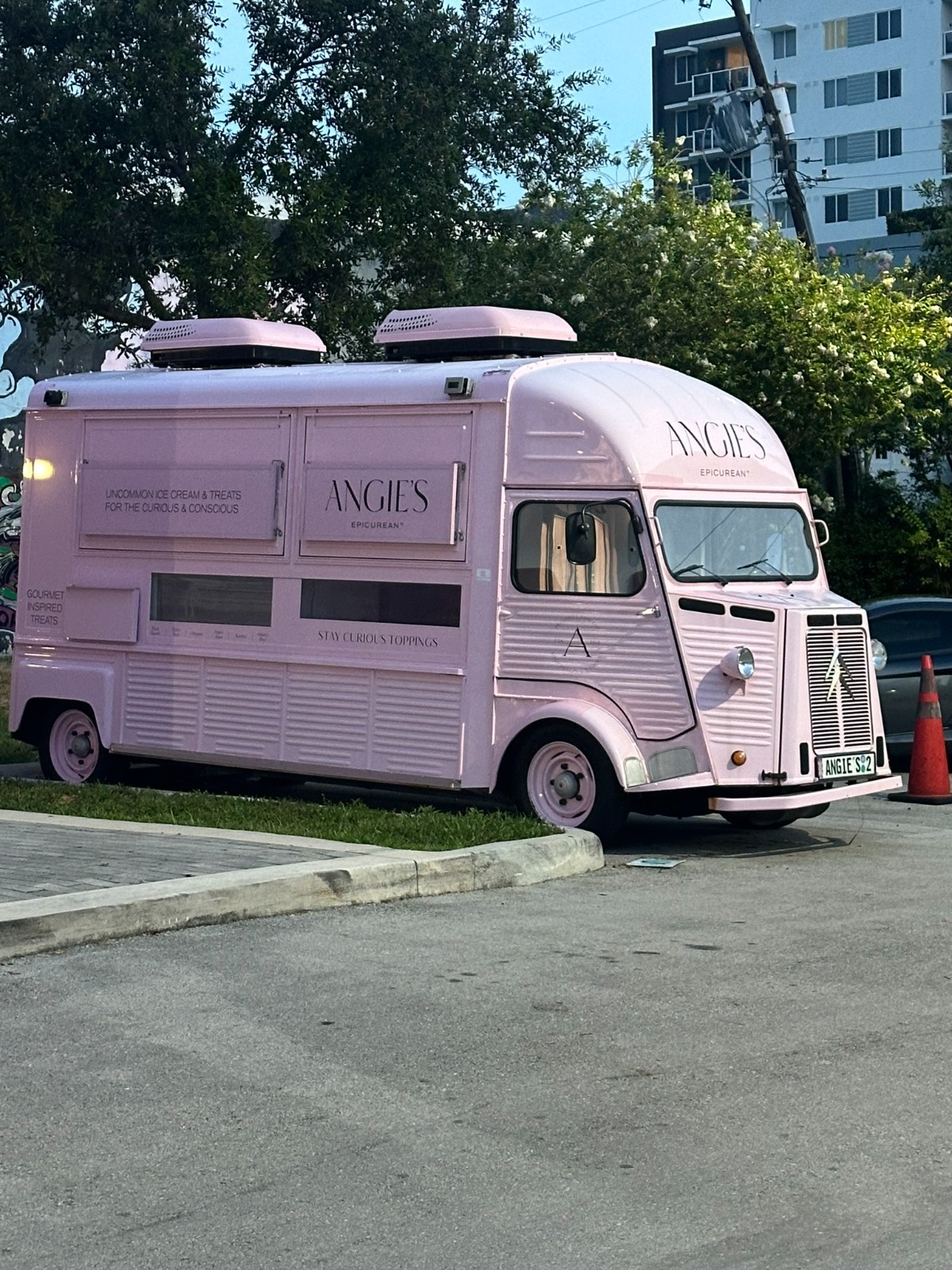 Citroen-Truck-1978-van-15
