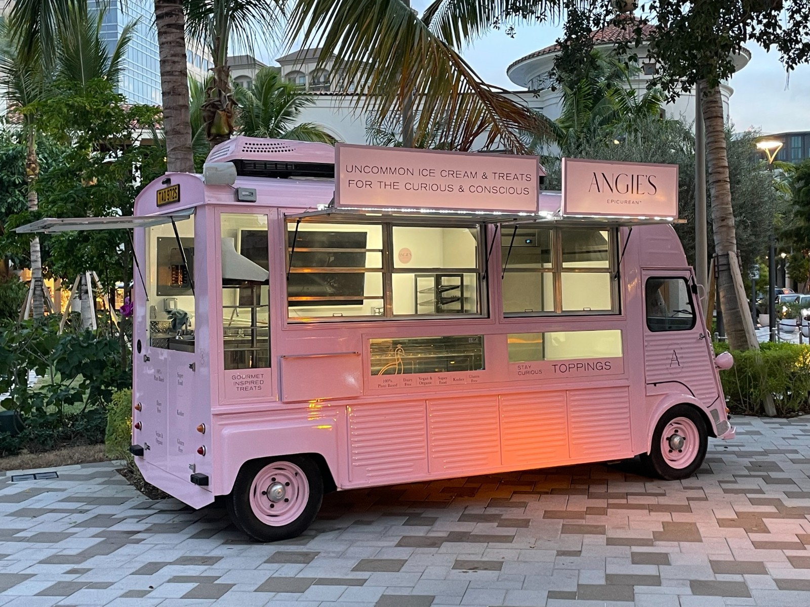 Citroen-Truck-1978-van-5