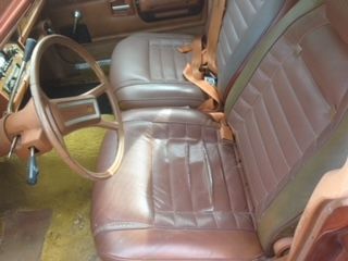 Cord-1982-Brown-1