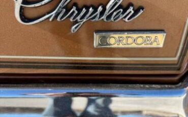 Cord-Oba-1977-Caramel-Tan-Metallic-Tan-14