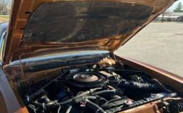 Cord-Oba-1977-Caramel-Tan-Metallic-Tan-2