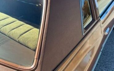 Cord-Oba-1977-Caramel-Tan-Metallic-Tan-25
