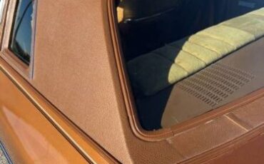Cord-Oba-1977-Caramel-Tan-Metallic-Tan-26