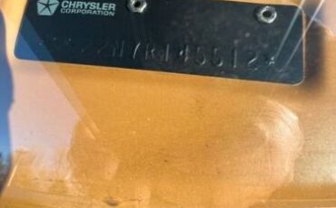 Cord-Oba-1977-Caramel-Tan-Metallic-Tan-27