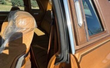 Cord-Oba-1977-Caramel-Tan-Metallic-Tan-28