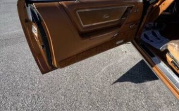 Cord-Oba-1977-Caramel-Tan-Metallic-Tan-30