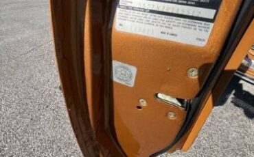 Cord-Oba-1977-Caramel-Tan-Metallic-Tan-31