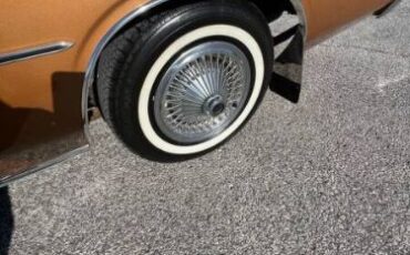 Cord-Oba-1977-Caramel-Tan-Metallic-Tan-5