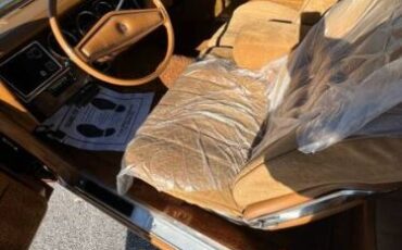 Cord-Oba-1977-Caramel-Tan-Metallic-Tan-6