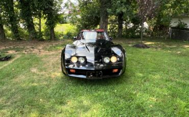Corvette-1980-11