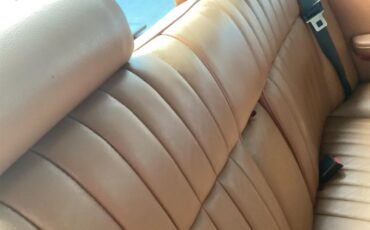 Daimler-Sovereign-1983-Metallic-green-Tan-13
