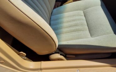 Datsun-280zx-1979-Gold-Tan-30