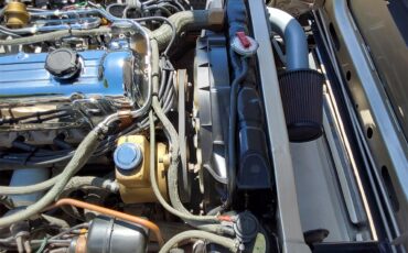 Datsun-280zx-1979-Gold-Tan-4