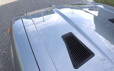 Datsun-Other-1981-Gray-Black-15