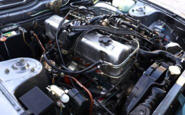 Datsun-Other-1981-Gray-Black-20