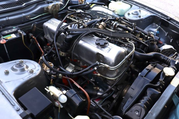 Datsun-Other-1981-Gray-Black-20