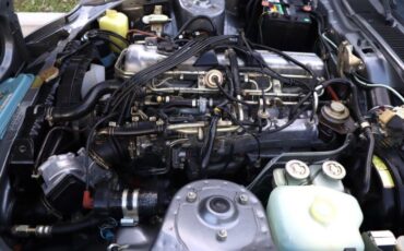 Datsun-Other-1981-Gray-Black-22
