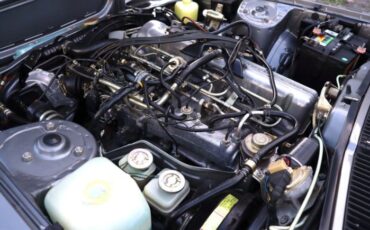 Datsun-Other-1981-Gray-Black-23