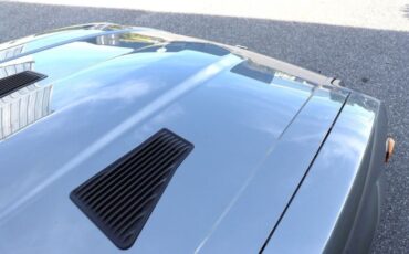 Datsun-Other-1981-Gray-Black-30