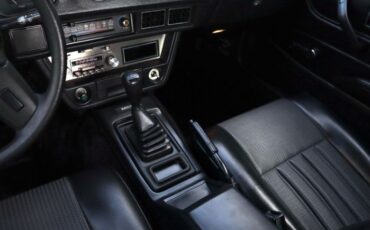 Datsun-Other-1981-Gray-Black-9