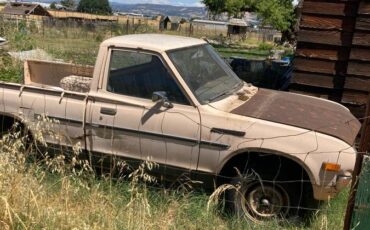 Datsun-pu-1976-brown