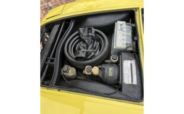 De-tomaso-Pantera-1971-Yellow-Black-15
