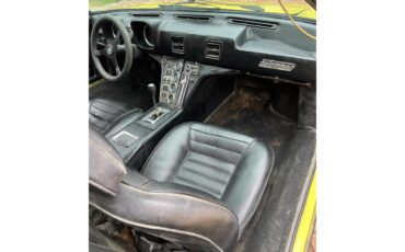 De-tomaso-Pantera-1971-Yellow-Black-21