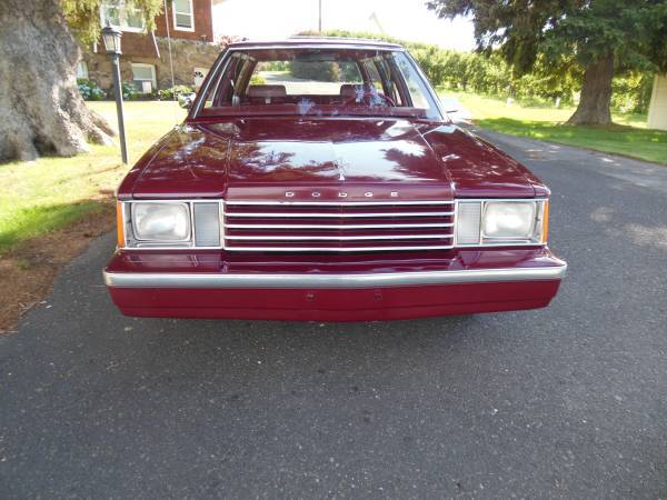 Dodge-Aries-1982-4