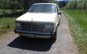 Dodge-Caravan-1987-Minivan-3
