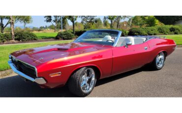 Dodge-Challenger-1970-Viper-Stryker-Red-White-Leather-6