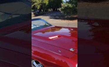 Dodge-Challenger-1970-Viper-Stryker-Red-White-Leather-7
