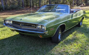 Dodge-Challenger-1971-Metallic-Green-Brown-1