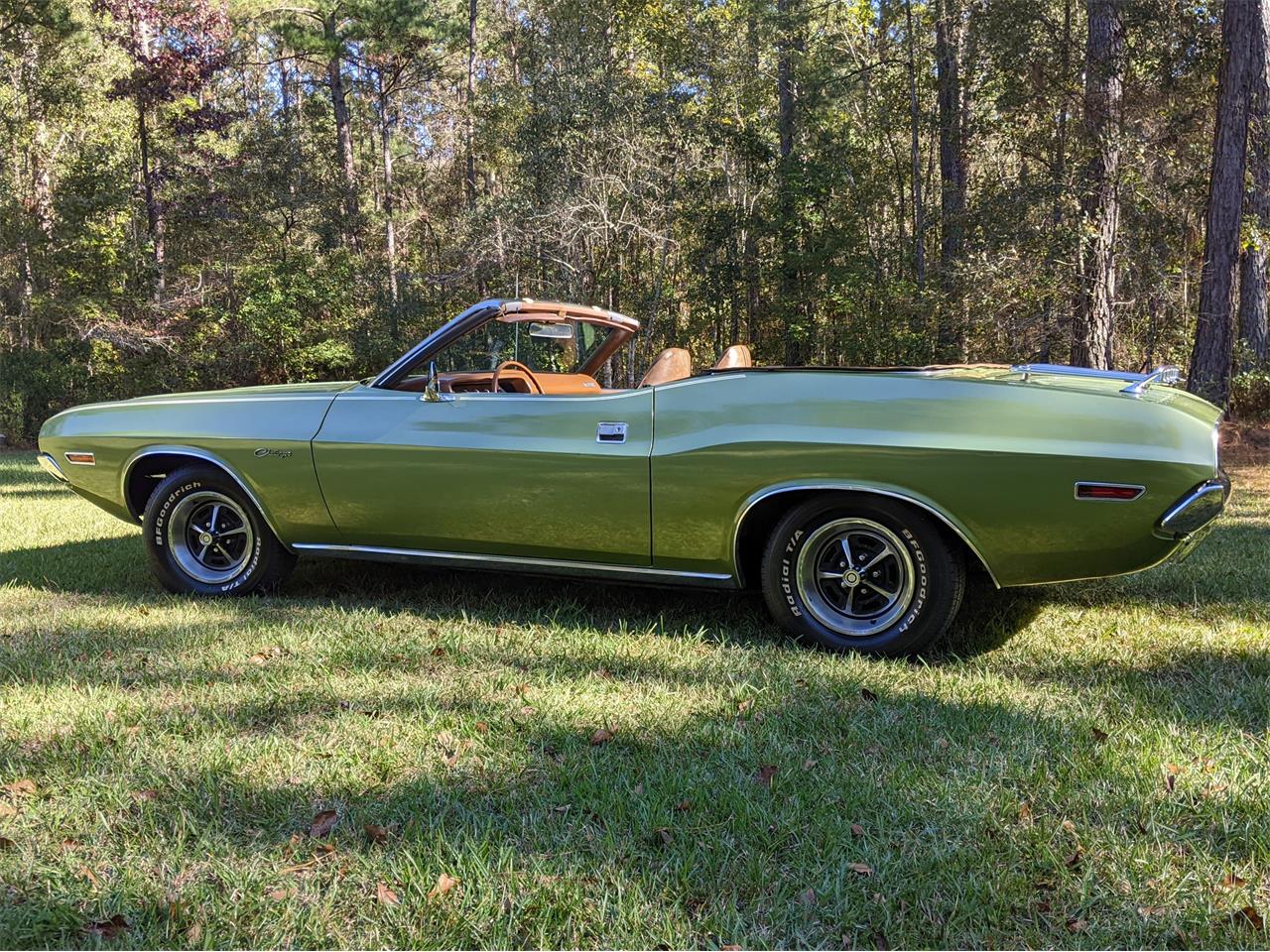 Dodge-Challenger-1971-Metallic-Green-Brown-10