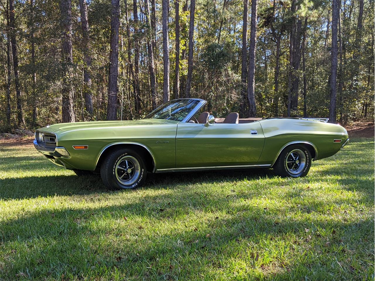 Dodge-Challenger-1971-Metallic-Green-Brown-12