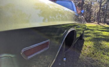 Dodge-Challenger-1971-Metallic-Green-Brown-13