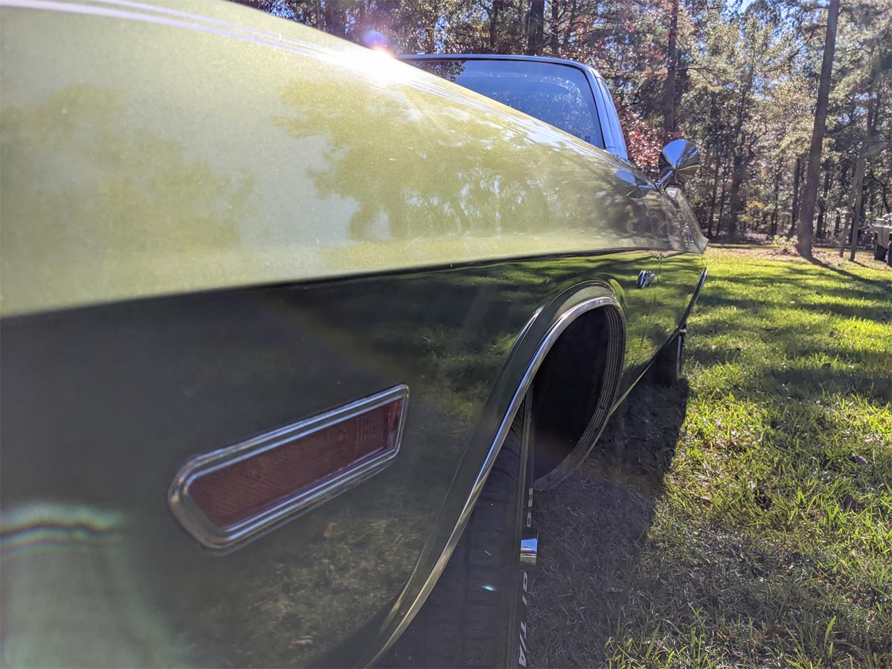 Dodge-Challenger-1971-Metallic-Green-Brown-13