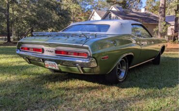 Dodge-Challenger-1971-Metallic-Green-Brown-18