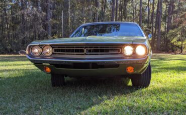 Dodge-Challenger-1971-Metallic-Green-Brown-19