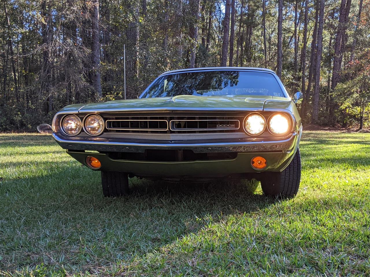 Dodge-Challenger-1971-Metallic-Green-Brown-19