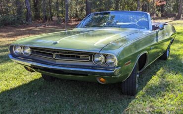 Dodge-Challenger-1971-Metallic-Green-Brown-21