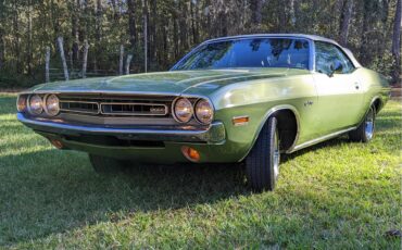 Dodge-Challenger-1971-Metallic-Green-Brown-23