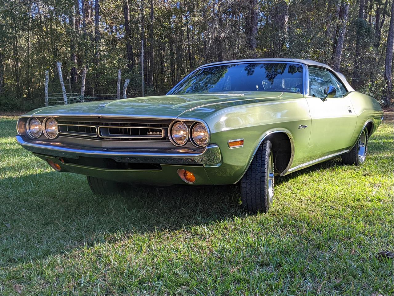Dodge-Challenger-1971-Metallic-Green-Brown-23