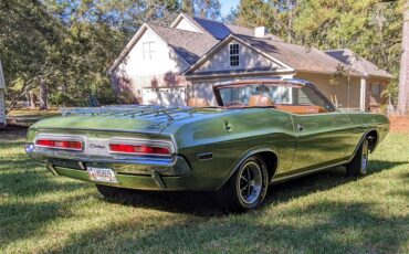Dodge-Challenger-1971-Metallic-Green-Brown-26