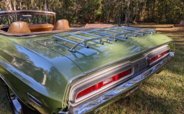 Dodge-Challenger-1971-Metallic-Green-Brown-32